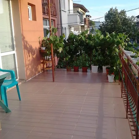 Guest house Ruja